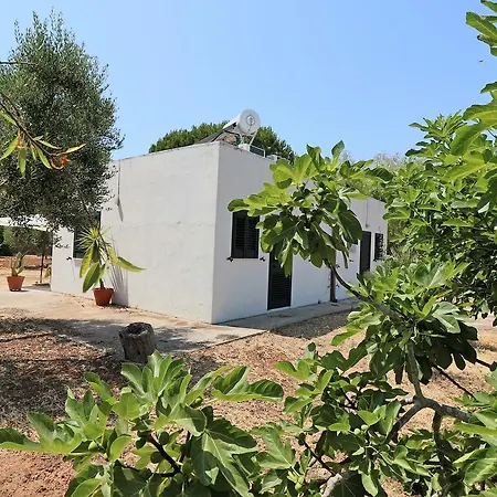 Sabea 4* Gallipoli